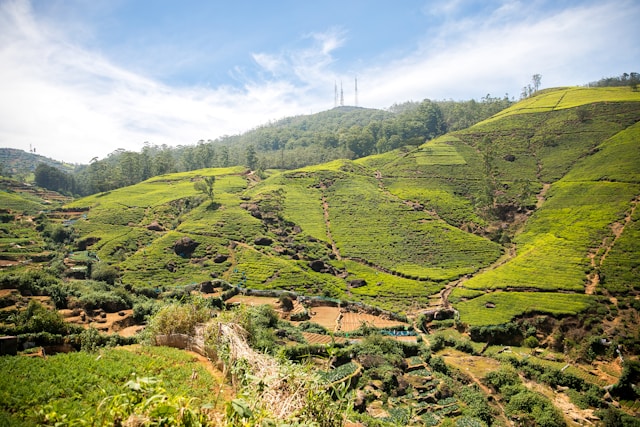 Beautiful Locations in Nuwara Eliya